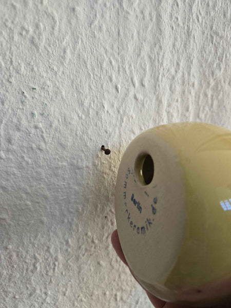 Vase klein für die Wand